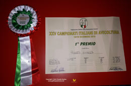 Venticinquesima edizione dei Campionati Italiani di Avicoltura - Gallina Padovana