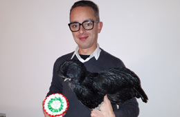 Championships of Italian poultry - Paduan hen