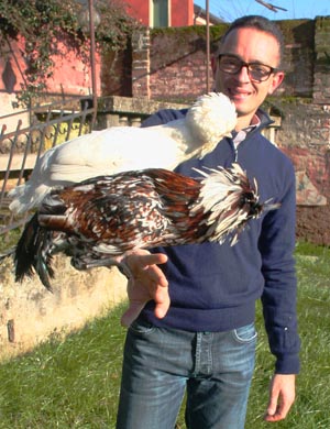 Tollbunt male and white female