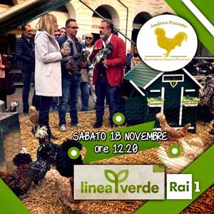 Rai 1 - Linea Verde